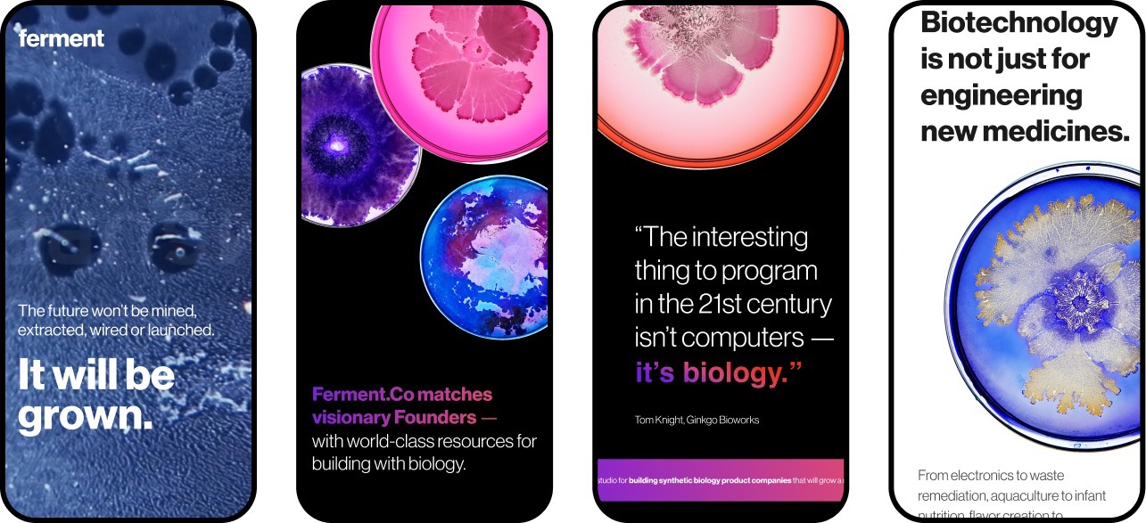 Phones